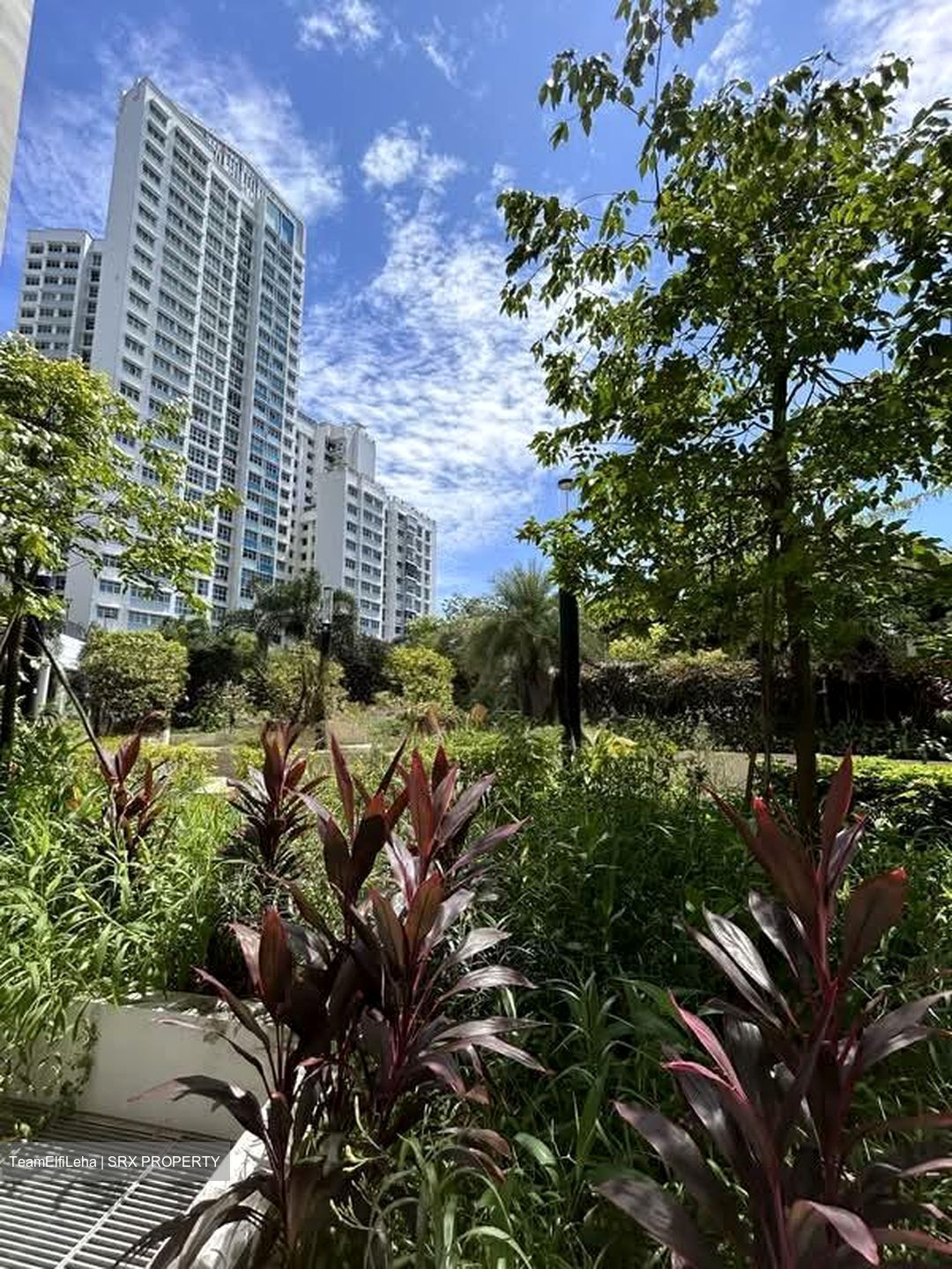 Blk 421B Northshore Straitsview (Punggol), HDB 2 Rooms #562447711